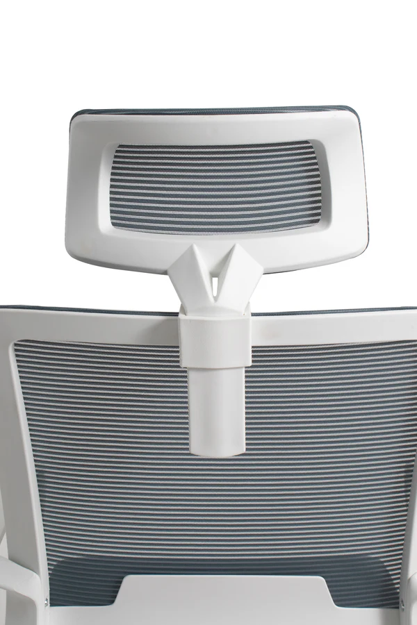 Moldavia con cabecera