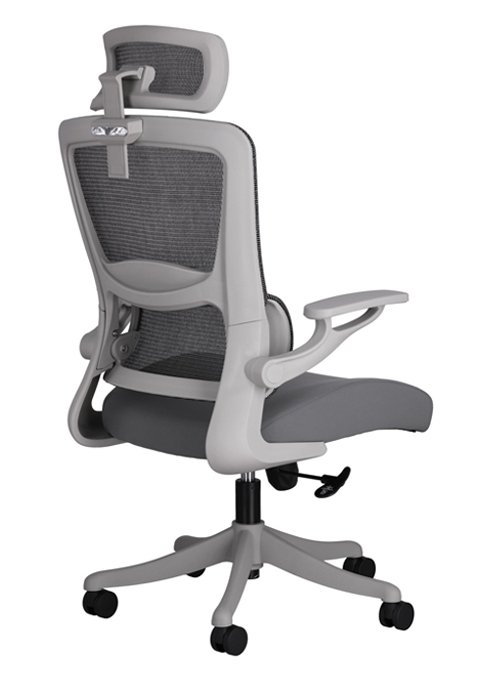 Neutron Gris con Cabecera