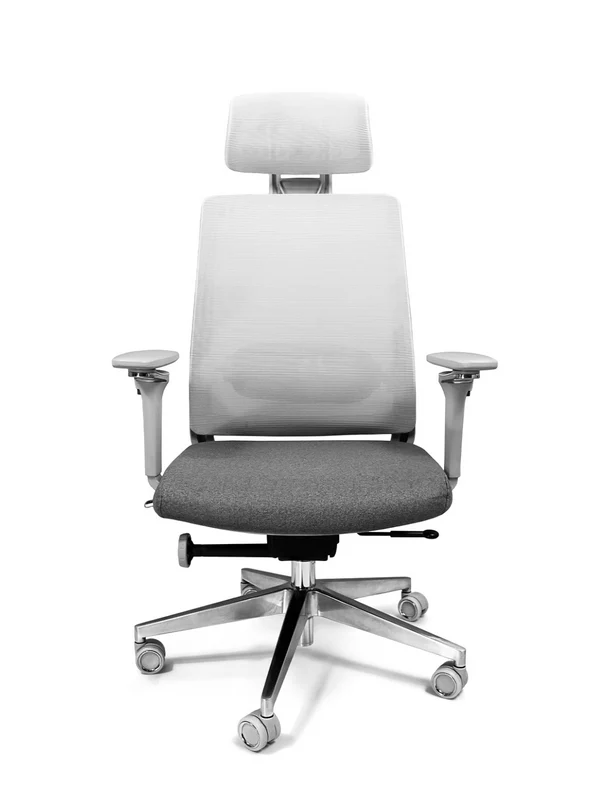 Alfa Gris con Cabecera