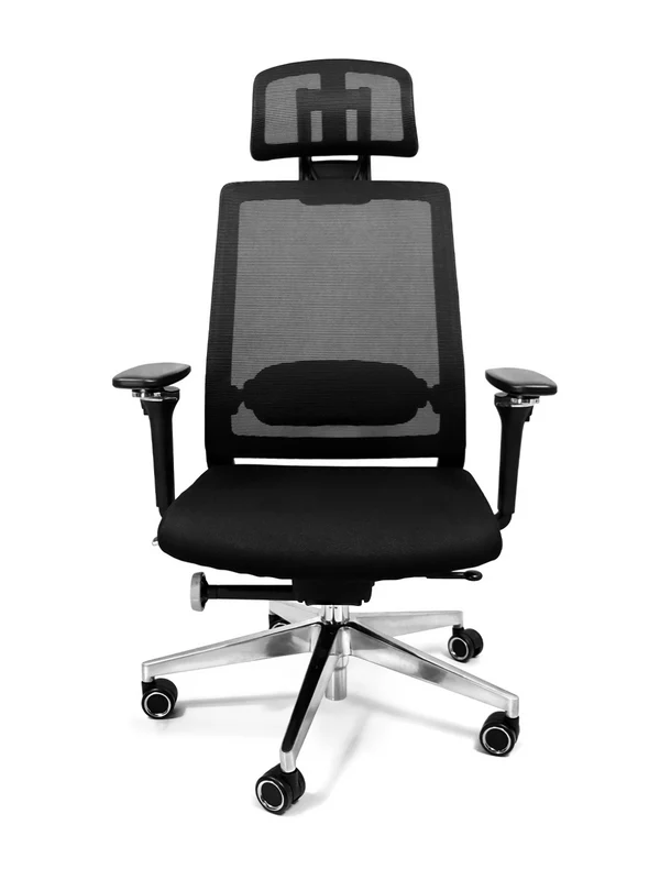 Alfa Negro con Cabecera