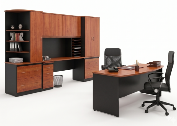 Conjunto Directivo 2
