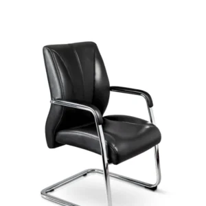 Zaid Negro de Visita